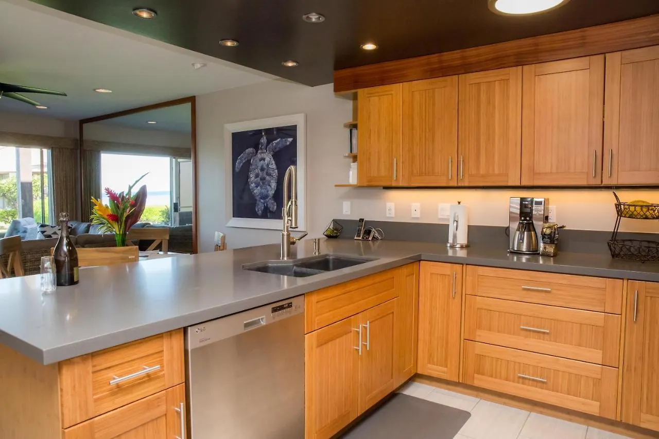 Hale Kamaole 176 Villa Wailea Nyaraló