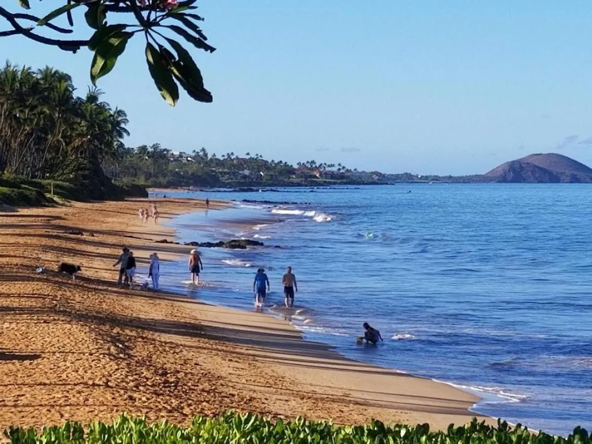 Nyaraló Hale Kamaole 176 Villa Wailea Amerikai Egyesült Államok